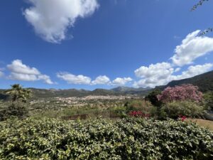 IMG_2507