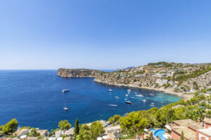 view a