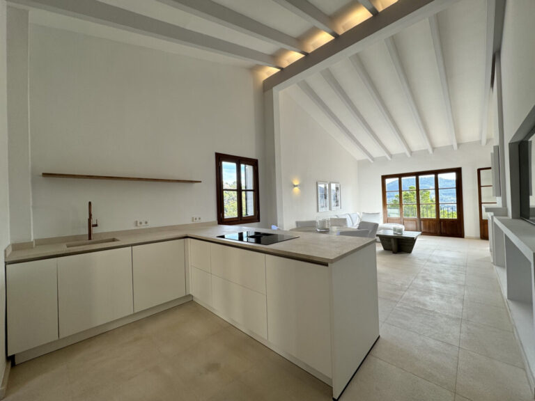 Penthouse Port Andratx