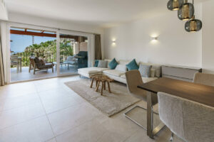 Living room and terrace