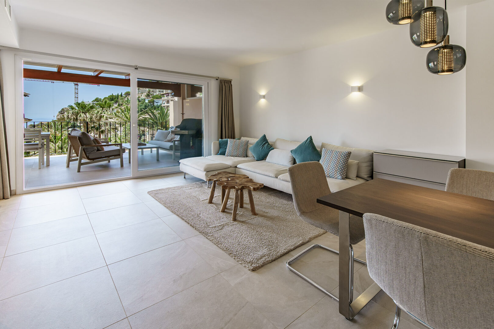 Living room and terrace